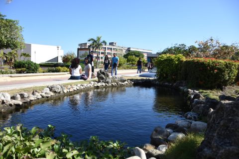 uniatlantico estudiantes