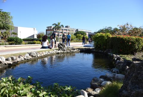 uniatlantico estudiantes