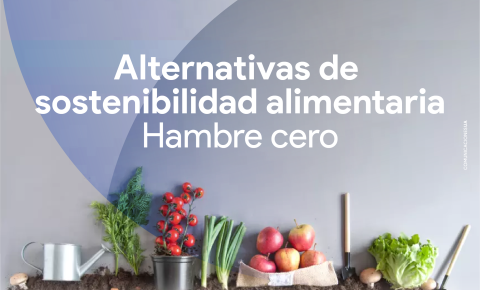 Alt sost alimentaria NOT-03