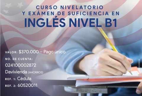 curso nivelatorio ingles