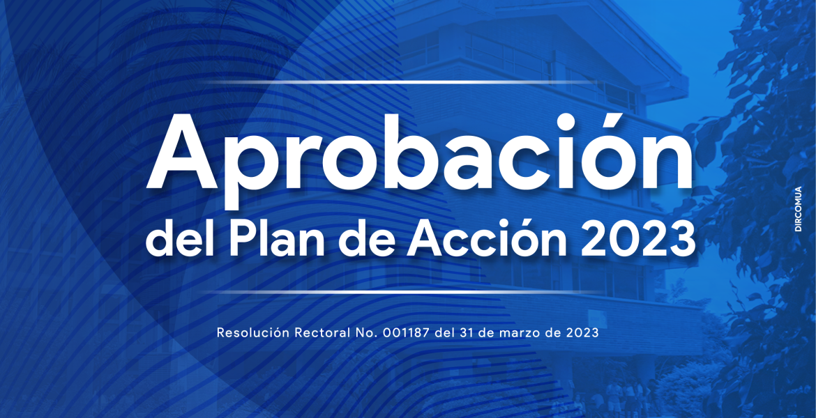 Aprobacion plan accion