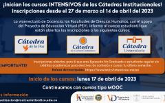 Cursos intensivos