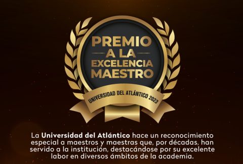 Premio a la excelencia maestro