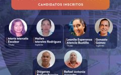 Planchas candidatos