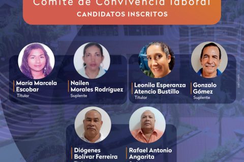 Planchas candidatos