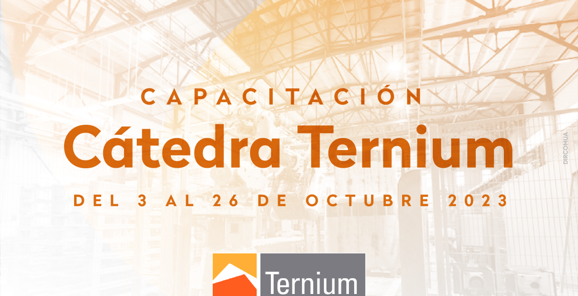 Capacitación Cátedra Ternium