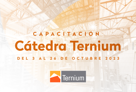 Capacitación Cátedra Ternium