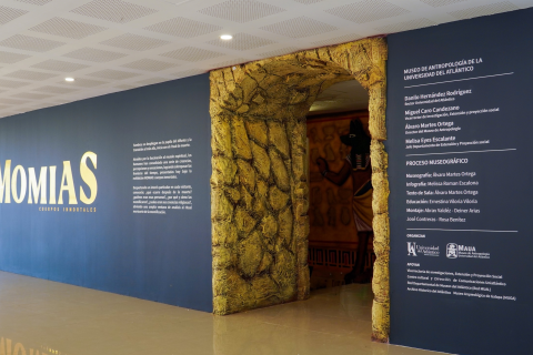 Momias- cuerpos inmortales