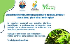 congreso de sociologia
