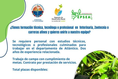 congreso de sociologia