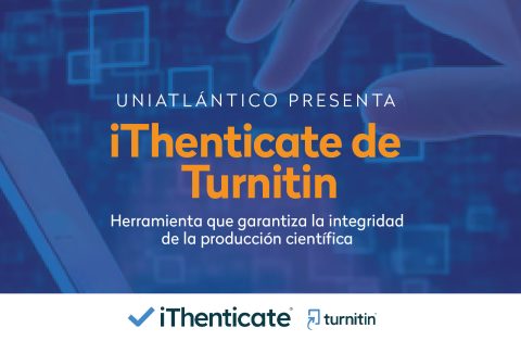 turnitin-04