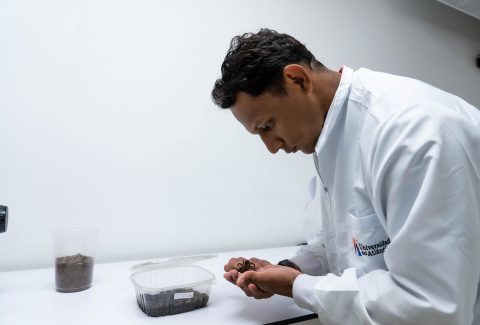Investigadores de la Universidad del Atlántico descubren una nueva especie de araña en el Caribe colombiano