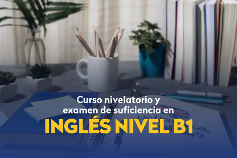curso nivelatorio y examen de sufucuencia B1