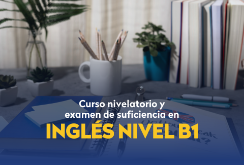 curso nivelatorio y examen de sufucuencia B1