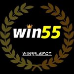win55-favicon