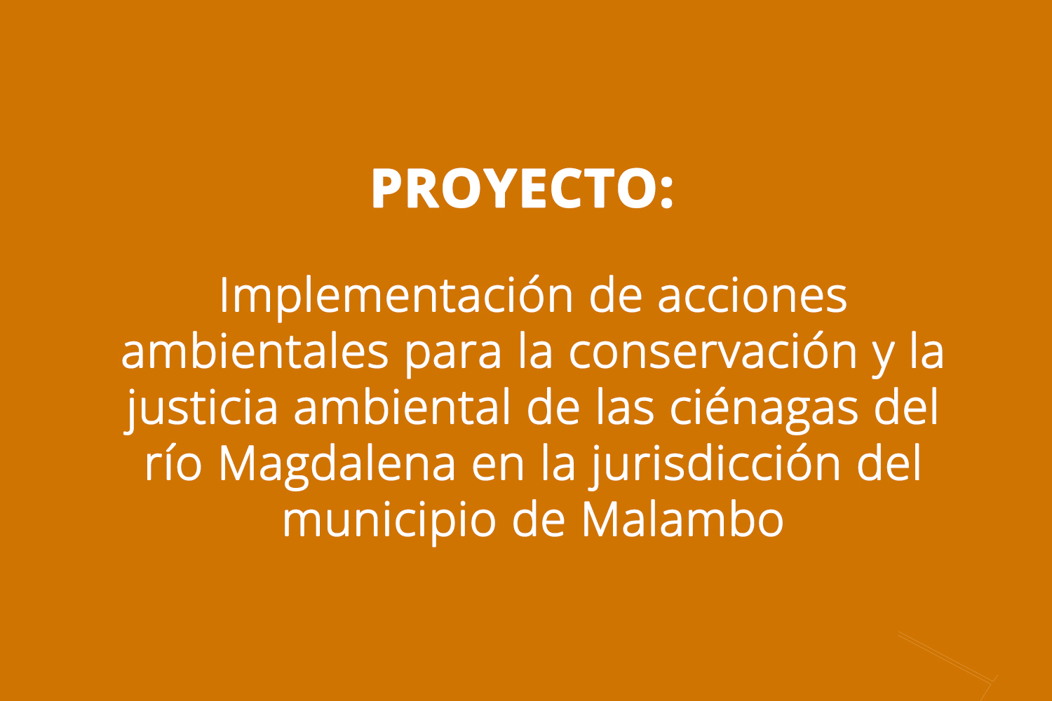 Proyecto implementacion de acciones