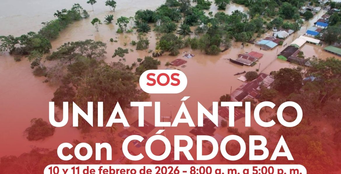 Historia de instagram día mundial de la cruz roja moderno (Video) - 1