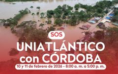 Historia de instagram día mundial de la cruz roja moderno (Video) - 1