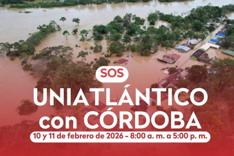 Historia de instagram día mundial de la cruz roja moderno (Video) - 1