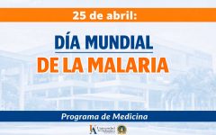 dia-mundial-de-la-malaria