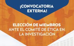 Convocatoria externa