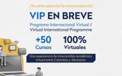 cursos virtuales gratuitos y certificados del Programa Internacional Virtual (VIP)