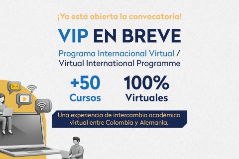 cursos virtuales gratuitos y certificados del Programa Internacional Virtual (VIP)