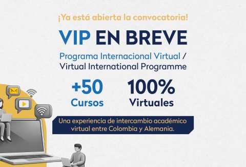 cursos virtuales gratuitos y certificados del Programa Internacional Virtual (VIP)