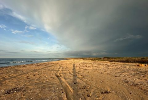 Investigadores de la Uniatlántico utilizan el color y la forma de la arena para medir el riesgo de erosión costera