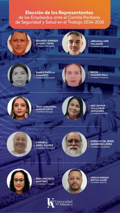 eleccion empleados comite paritario